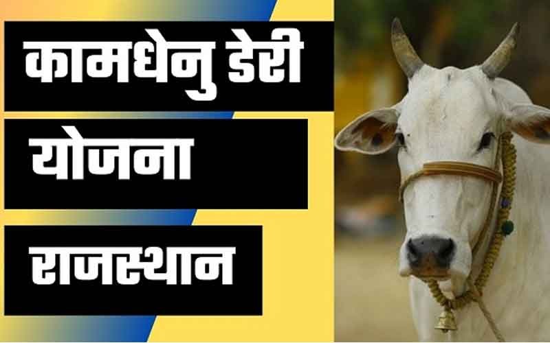 कामधेनु डेयरी योजना शुरू की गई, ग्रामीण क्षेत्रों में किसानों को बढ़ावा देने के लिए