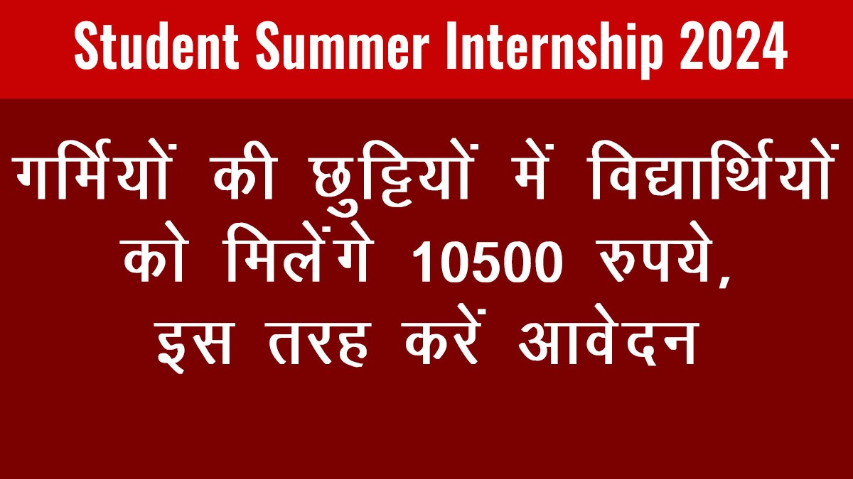 Student Summer Internship 2024