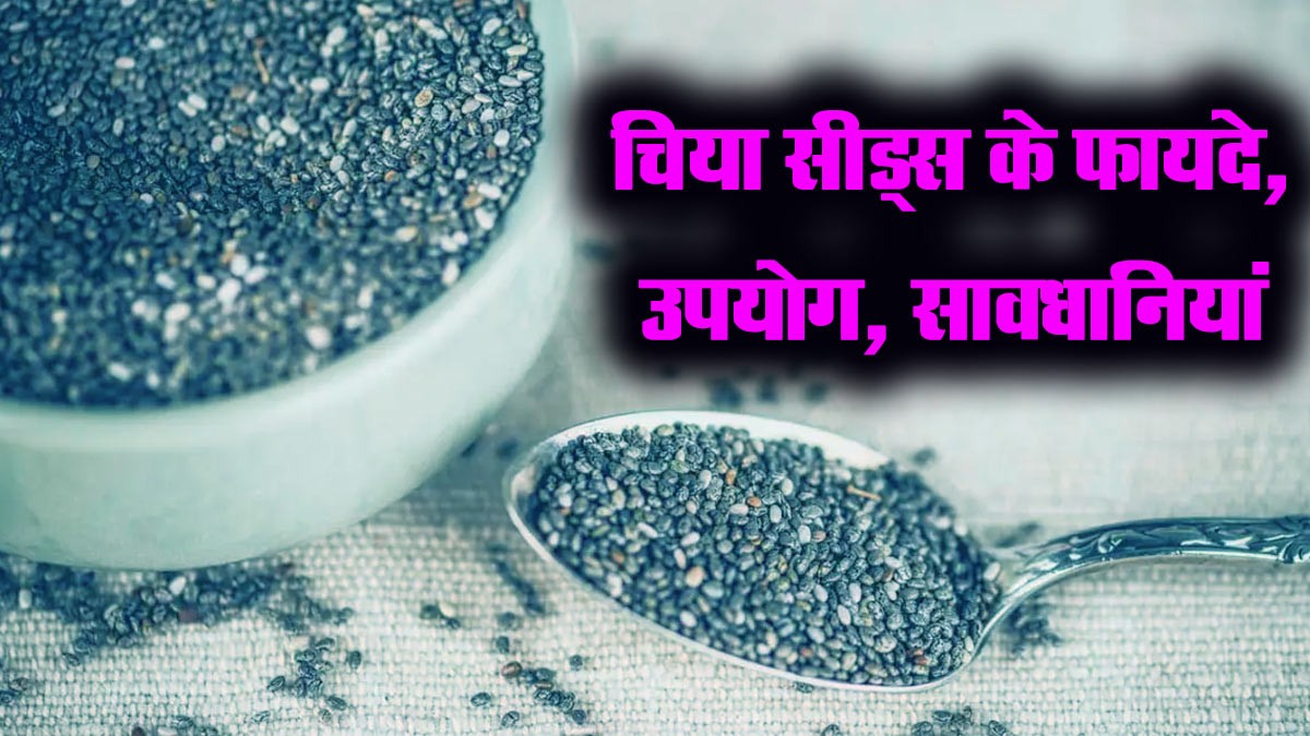 चिया सीड्स के फायदे, उपयोग, सावधानियां और अंतर